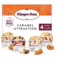 Glace en Pot Assortiment Caramel Attraction HAAGEN-DAZS