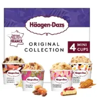 Glace En Pot Original Collection Haagen Dazs