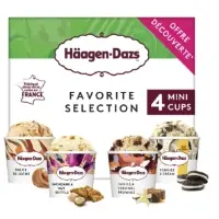 Glace En Pot Favorite Selection Haagen Dazs