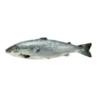 Saumon Entier Vide Et Ecaille Filiere Qualite Carrefour