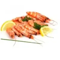 Crevettes Cuites Bio 40 60