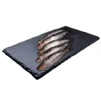 Sardine Atlantique