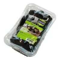 Moules De Hollande Msc