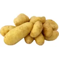 Pommes De Terre Pompadour Vrac