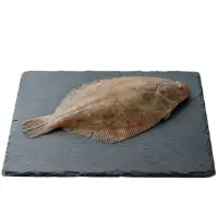 Sole Cotiere