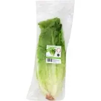 Salade Laitue Romaine