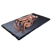 Tentacules D Encornet Geant