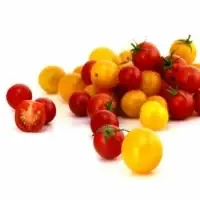 Tomates Cerises Bio