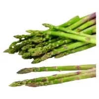 Asperges Vertes Bio