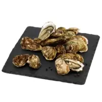 Huitres De Bretagne N3