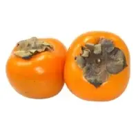 Kaki Bio