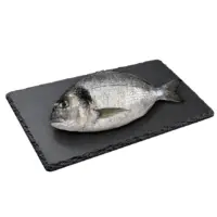 Dorade Grise Cotiere Gros