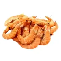 Crevettes Cuites 30 50 Asc