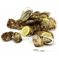Huitres Fines De Claires Marennes Oleron N03 Ouverture Facile