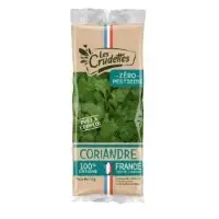 Coriandre Zero Pesticide Les Crudettes