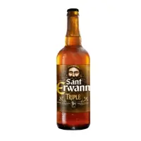 Biere Triple Blonde 9 Sant Erwann