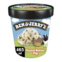Glace En Pot Vanille Beurre De Cacahuetes Et Chocolat Ben Jerry S