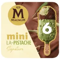 Glaces Batonnets Mini Pistache Chocolat Magnum