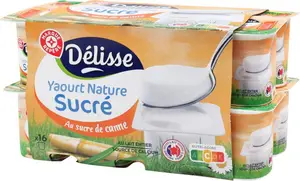 Yaourt nature au sucre de canne - 16 x 125 g - DELISSE