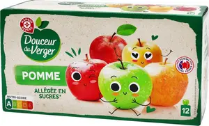 Gourdes allégées en sucres pomme - 12 x 90 g - DOUCEUR DU VERGER