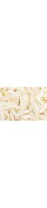 RIZ LONG BLANC BIO EN VRAC - pour 100g - BIO VILLAGE