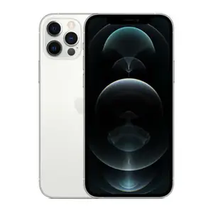iPhone 12 Pro 128 Go, Argent