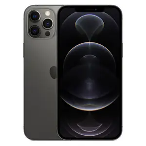 iPhone 12 Pro 256 Go, Graphite