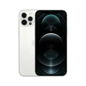 iPhone 12 Pro 512 Go, Argent
