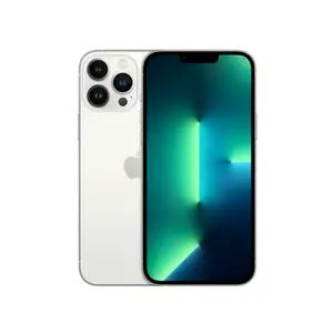 iPhone 13 Pro Max 256 Go, Argent