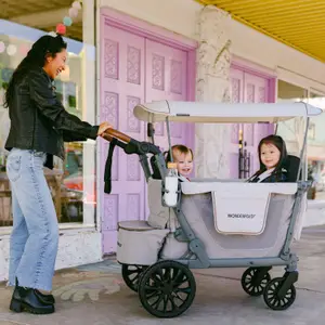 Chariot de transport enfant L2 Gray (2 places)