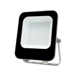 Projecteur Extérieur LED 30W IP65 Noir - Blanc Neutre 4000K - 5500K