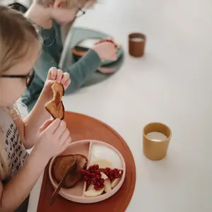 Assiette à compartiments en silicone avec ventouse Blush