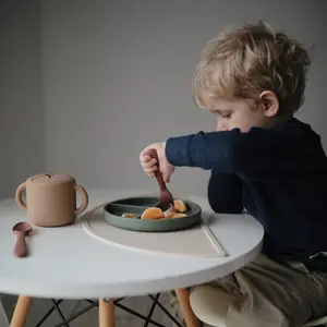 Assiette à compartiments en silicone avec ventouse Dried thyme