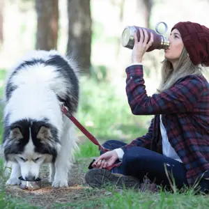 Gourde isotherme pour chien 2 en 1 Bordeaux (1 litre)