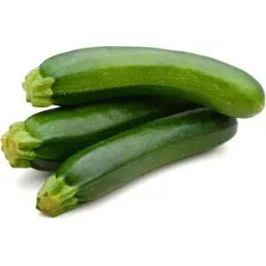 COURGETTES BIO