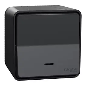 Interrupteur va-et-vient lumineux étanche complet saillie Schneider Electric Mureva Styl anthracite