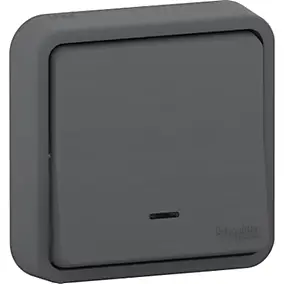 Interrupteur poussoir lumineux étanche complet encastré Schneider Electric Mureva Styl anthracite