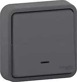 Interrupteur va-et-vient étanche complet encastré Schneider Electric Mureva Styl anthracite
