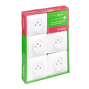 5 prises affleurantes Ovalis B 2 ports avec terre Schneider Electric