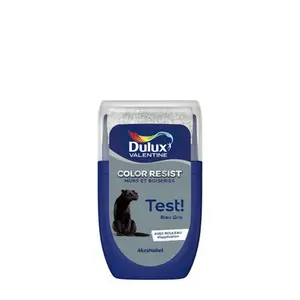 Testeur Peinture murs et boiseries intérieure acrylique Mat Bleu Gris 30 ml
