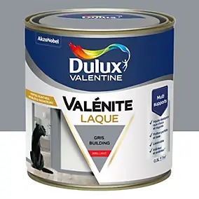 Laque acrylique gris building brillant Dulux Valentine Valénite 0.5 L