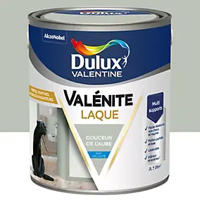 Laque acrylique vert douceur de l'aube mat velouté Dulux Valentine Valénite 2 L