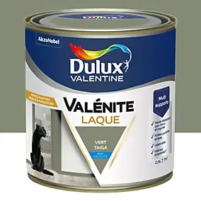 Laque acrylique vert taiga mat velouté Dulux Valentine Valénite 0.5 L