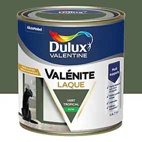 Laque acrylique vert tropical satin Dulux Valentine Valénite 0.5 L