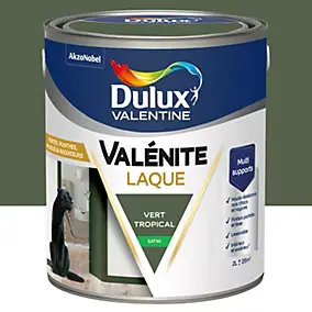 Laque acrylique vert tropical satin Dulux Valentine Valénite 2 L