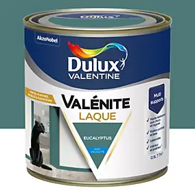 Laque acrylique vert eucalyptus velouté mat Dulux Valentine Valénite 0.5 L