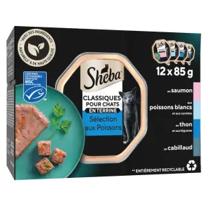 SHEBA Barquettes Classiques terrines de pâtée poissons et légumes pour chat 12x85g