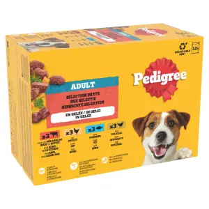 PEDIGREE Sachets repas pâtée en gelée gourmande 4 variétés pour chien 12x100g