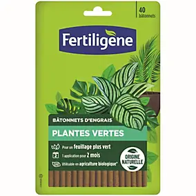 40 bâtonnets d'engrais plantes vertes Fertiligène