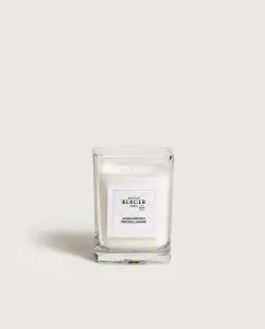 Bougie parfumée Jasmin Précieux